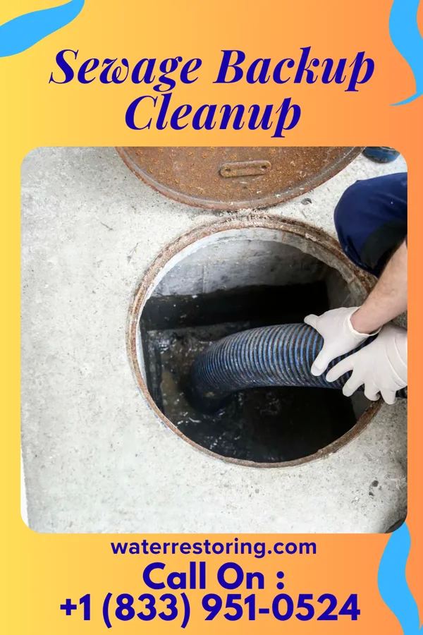 Sewage Backup Cleanup in St. Albans, VT