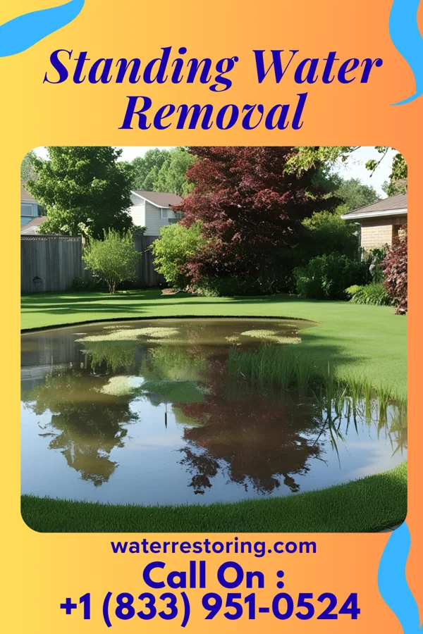 Standing Water Removal in St. Albans, VT